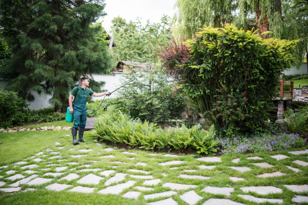 Best Emergency Pest Control  in Saratoga Springs, NY