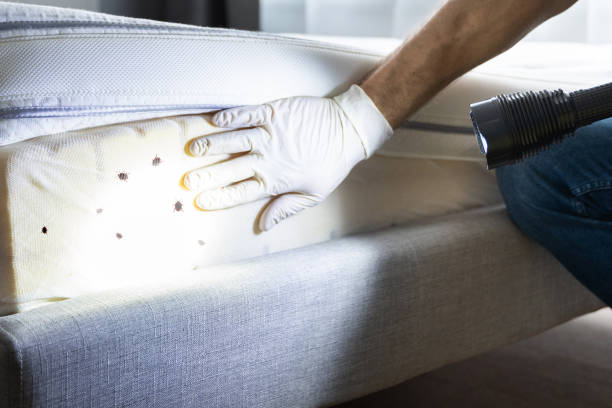 Best Wildlife Control Services  in Saratoga Springs, NY