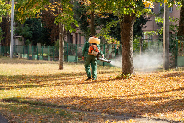 Best Bed Bug Extermination  in Saratoga Springs, NY