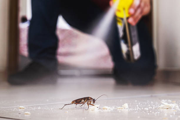 Best Rodent Control Near Me  in Saratoga Springs, NY