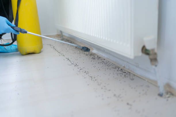 Trusted Saratoga Springs, NY Pest Control Experts