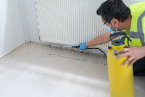 Best Pest Removal Services  in Saratoga Springs, NY