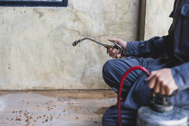 Pest Prevention Services in Saratoga Springs, NY